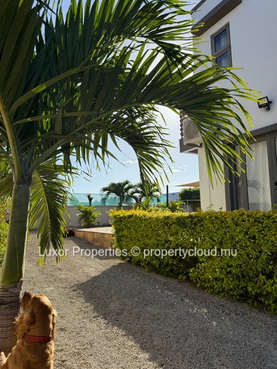 Villa de 3 Chambres à Vendre à Ruisseau Palmyre