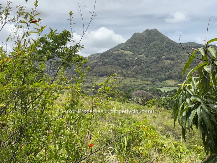 Propriété Spacieuse avec Piscine et Vue sur Mer à Anse Jonchée