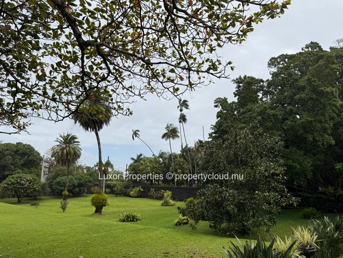  Colonial Elegance Meets Modern Functionality – Moka, Gentilly