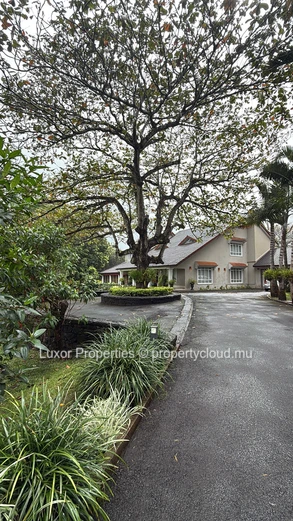  Colonial Elegance Meets Modern Functionality – Moka, Gentilly